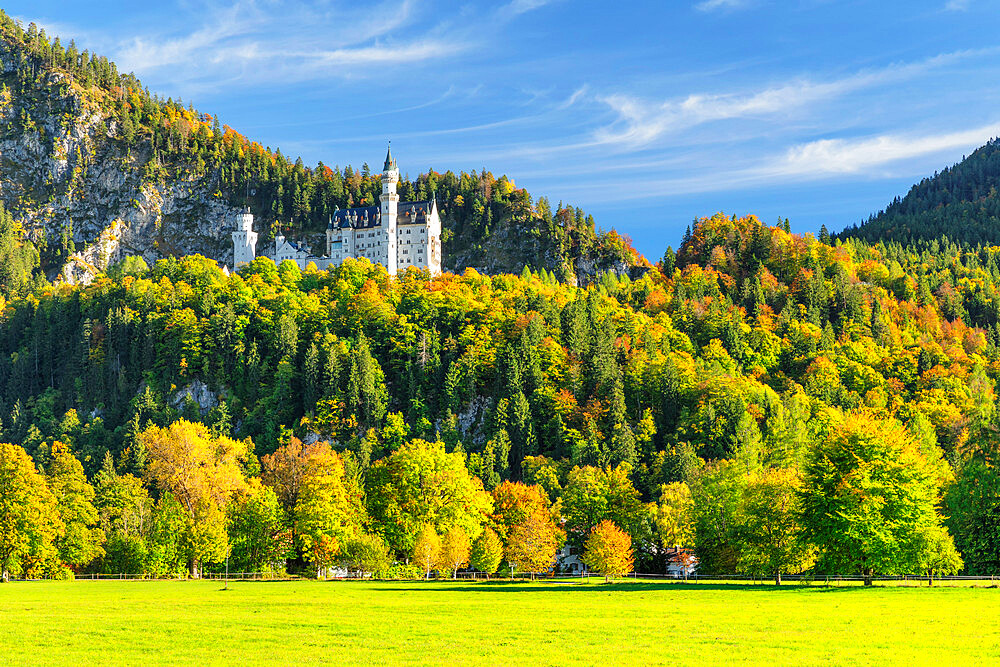 Neuschwanstein Castle, Schwangau, Allgau, Bavaria, Germany, Europe