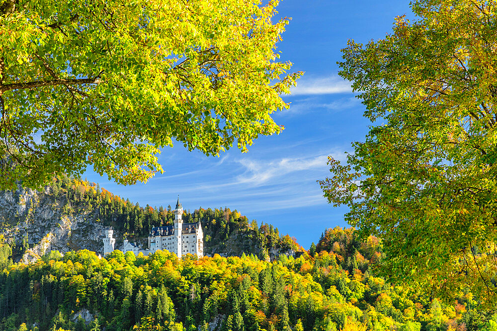 Neuschwanstein Castle, Schwangau, Allgau, Bavaria, Germany, Europe