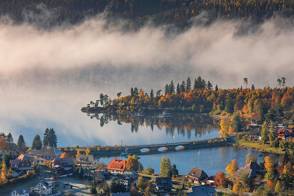 Early morning fog, Schluchsee, Black Forest, Baden-Wurttemberg, Germany, Europe