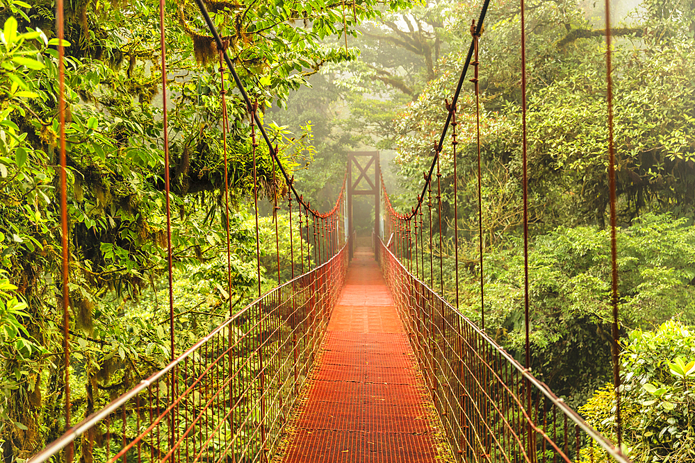 Hanging bridge in a cloud forest, Monteverde, Reserva Biologica Bosque Nuboso Monteverde, Puntarenas, Costa Rica, Central America