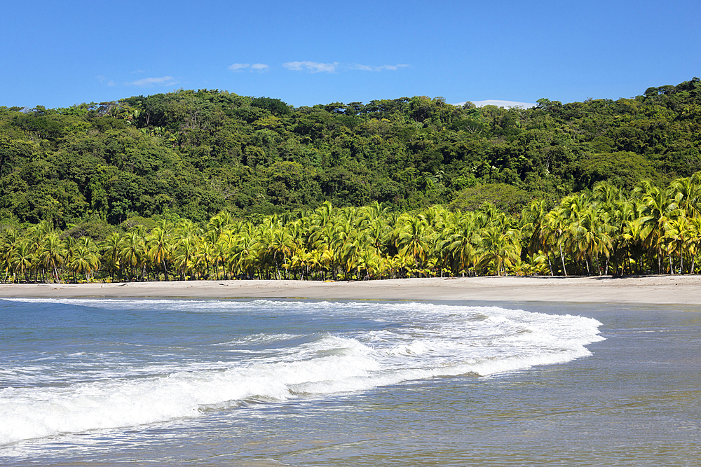 Playa Carrillo, Peninsula de Nicoya, Guanacaste, Costa Rica, Central America