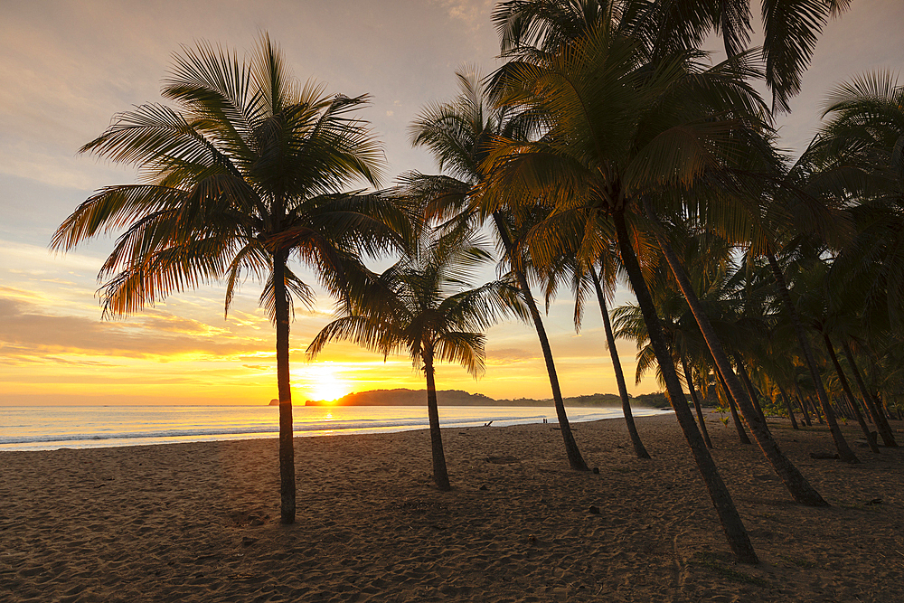 Playa Carrillo, Nicoya Peninsula, Guanacaste, Costa Rica, Central America