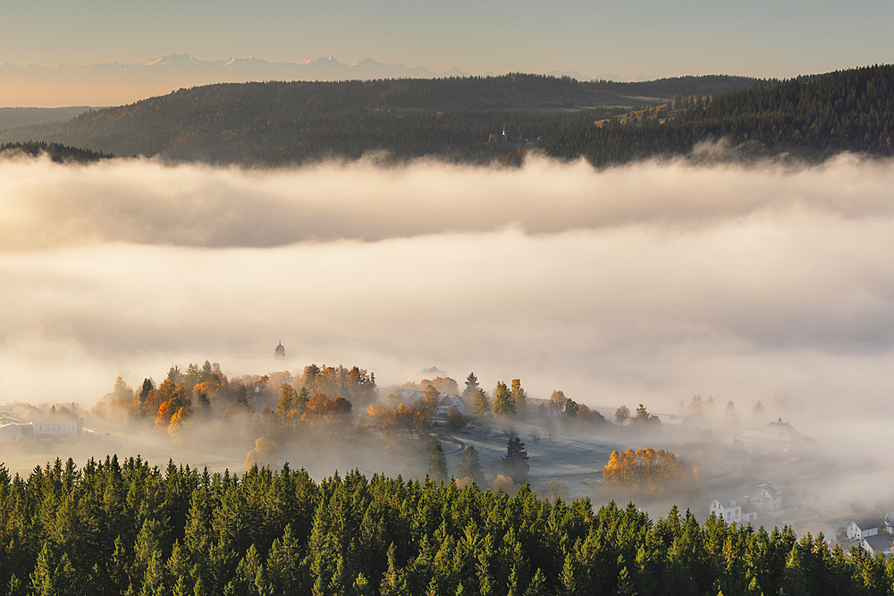 Early morning fog over Schluchsee Lake, Southern Black Forest, Baden-Wurttemberg, Germany, Europe