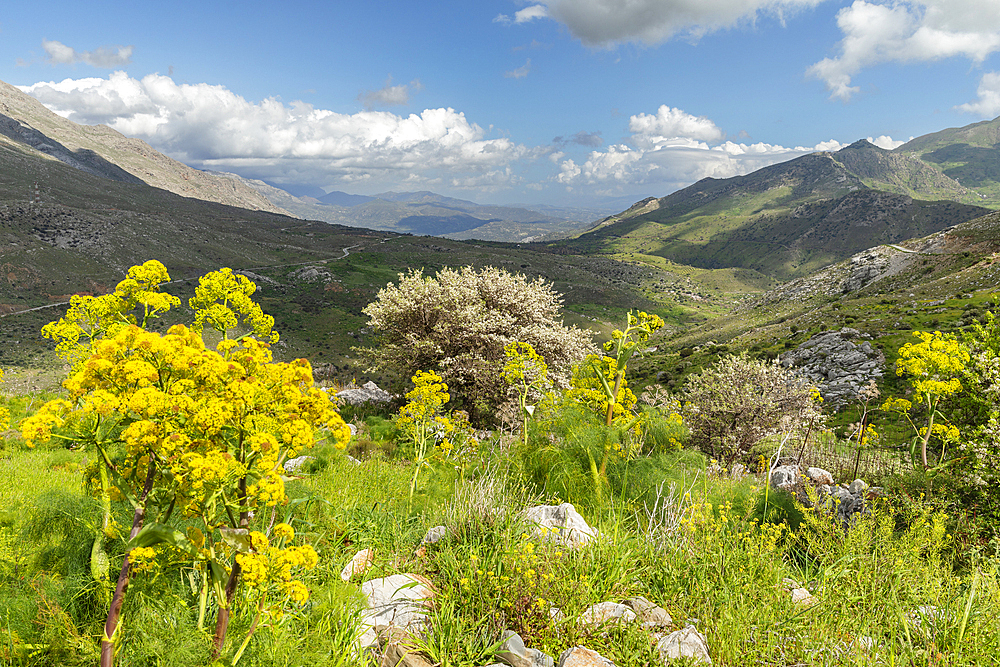 Kedros Massif, Crete, Greek Islands, Greece, Europe