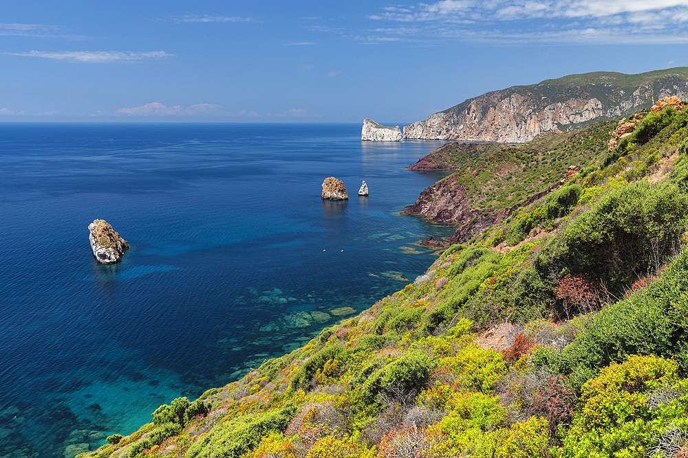 Costa Verde with Pan de Zucchero and Agusteri rock, Nebida, Sud Sardegna district, Sardinia, Italy, Mediterranean, Europe