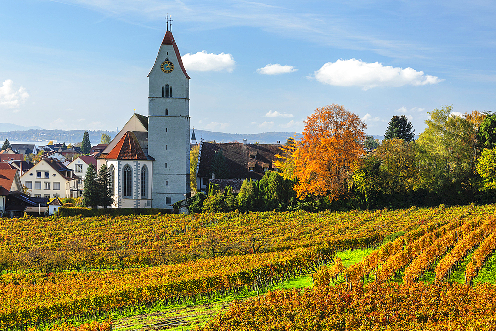 Hagnau am Bodensee, Lake Constance (Bodensee), Upper Swabia, Baden-Wurttemberg, Germany, Europe