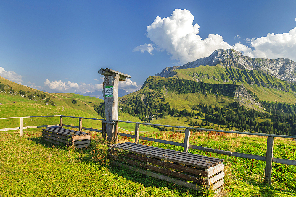 Oberbauen Mountain, Lake Lucerne, Canton Uri, Switzerland, Europe