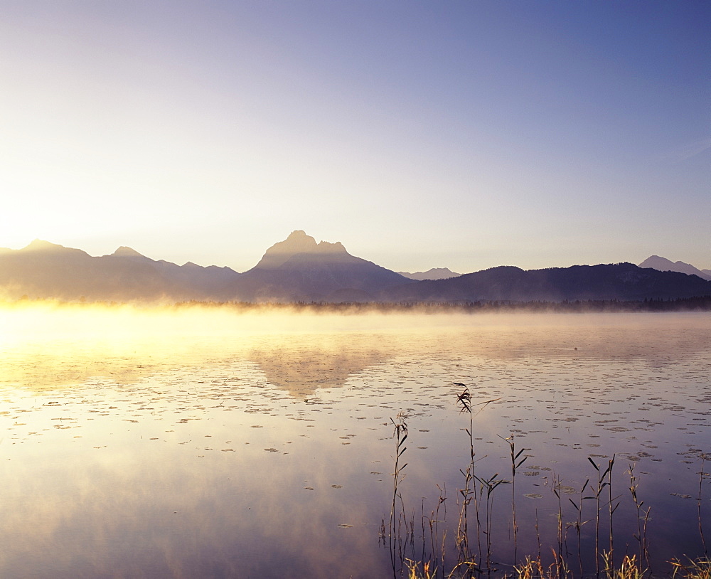 Allgau Alps reflecting in Hopfensee Lake at sunrise, near Fussen, Allgau, Bavaria, Germany, Europe