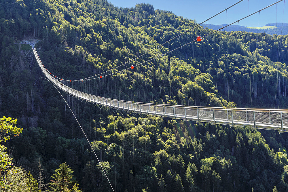 Blackforestline suspension bridge, Todtnau, Schwarzwald (Black Forest), Baden-Wurttemberg, Germany, Europe