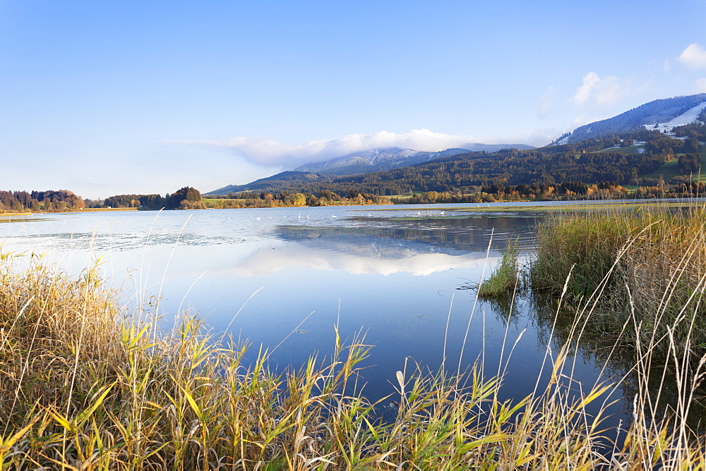 Gruntensee in autumn, Ostallgau, Allgau, Allgau Alps, Bavaria, Germany, Europe