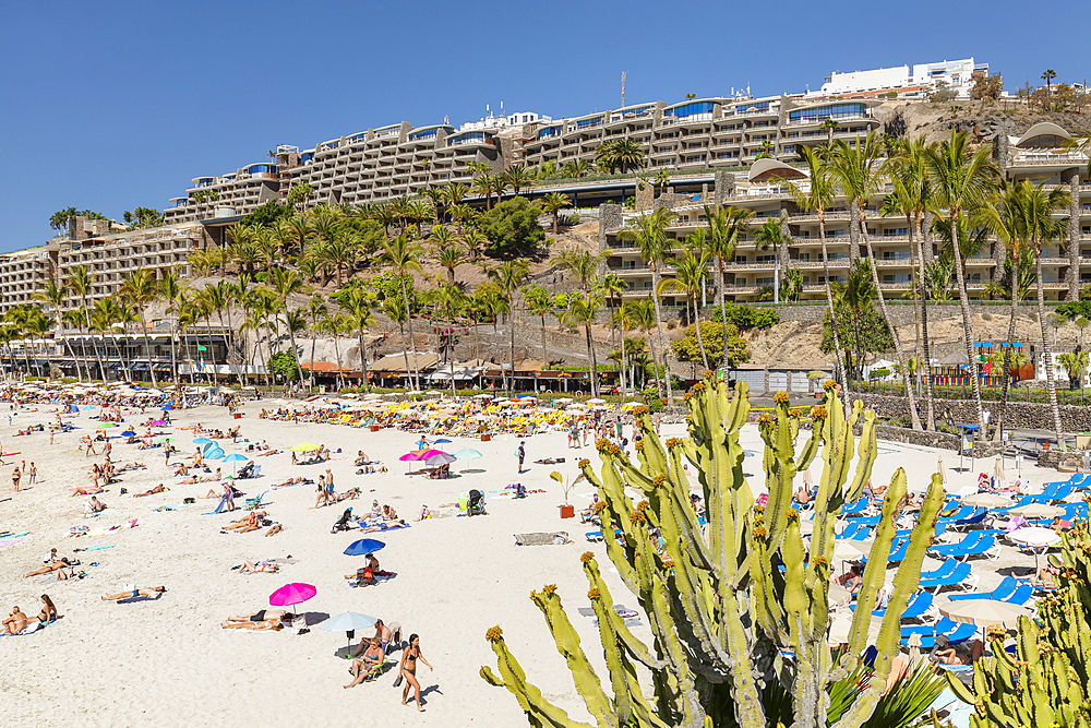 Anfi del Mar, Playa de la Verga, Arguineguin, Gran Canaria, Canary Islands, Spain, Atlantic, Europe