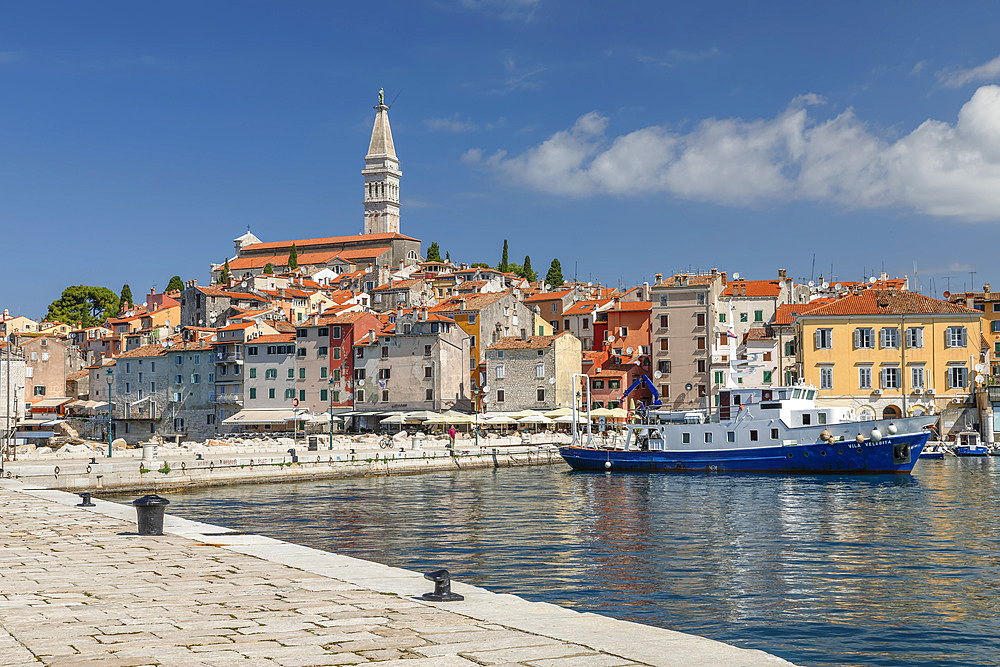 Old town with Cathedral of St. Euphemia, Rovinj, Istria, Croatia