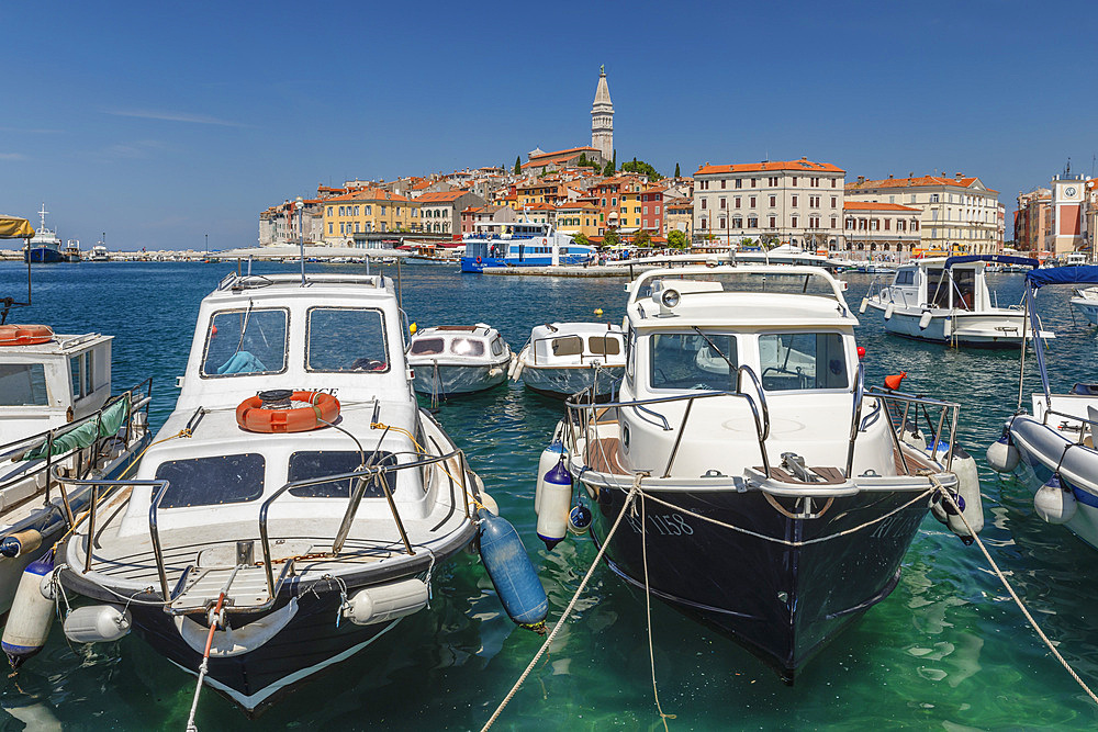 View over the harbour to the old town with Cathedral of St. Euphemia, Rovinj, Istria, Croatia