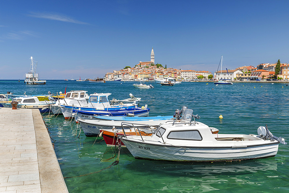 View from new harbour to the old town with Cathedral of St. Euphemia, Rovinj, Istria, Croatia