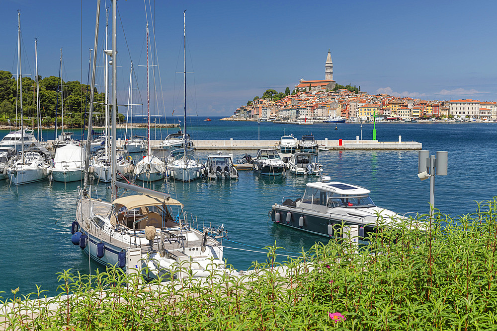 View from new harbour to the old town with Cathedral of St. Euphemia, Rovinj, Istria, Croatia