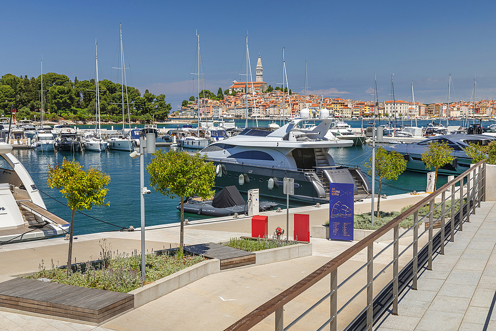 View from new harbour to the old town with Cathedral of St. Euphemia, Rovinj, Istria, Croatia