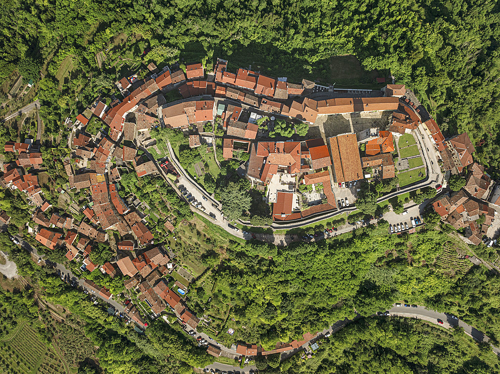 Hilltop village of Motovun, Istria, Croatia