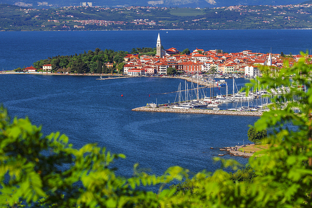 Coast and old town of Izola, Primorska, Slovenia