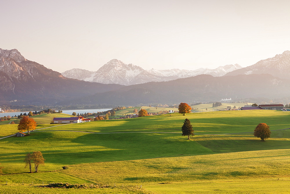 Prealps landscape and Forggensee Lake at sunset, Fussen, Ostallgau, Allgau, Allgau Alps, Bavaria, Germany, Europe