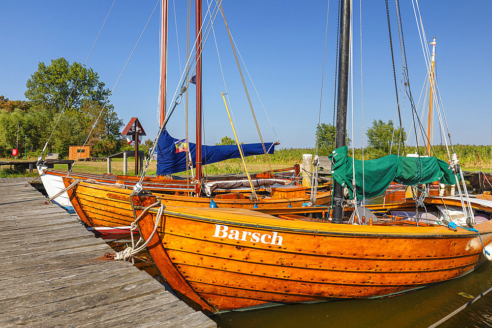 Port of Althagen, Ahrenshoop, Fisch-Darß-Zingst Peninsula, Fischland, Baltic Sea, Mecklenburg-Western Pomerania, Germany