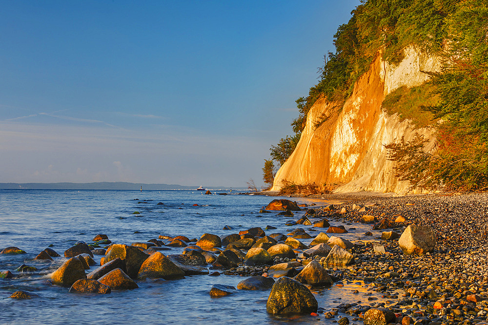 Chalk cliffs, Jasmund National Park, Sassnitz, Rügen Island, Mecklenburg-Western Pomerania, Germany