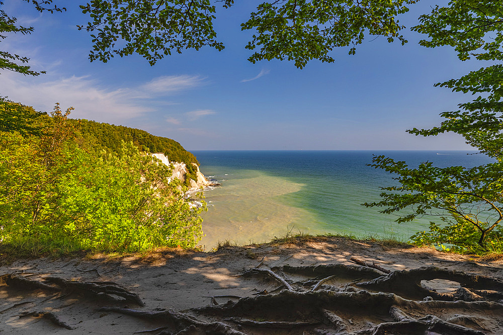 Chalk cliffs, Jasmund National Park, Sassnitz, Rügen Island, Mecklenburg-Western Pomerania, Germany