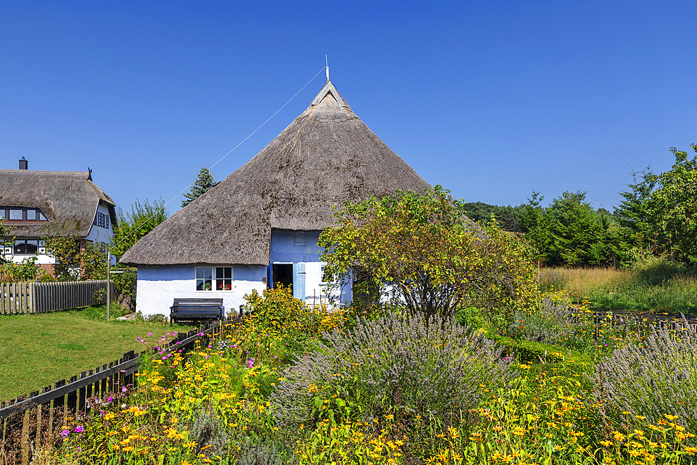 Traditional Pfarrwitwenhaus house Groß Zicker, Mönchgut Peninsula, Ruegen Island, Baltic Sea, Mecklenburg-Western Pomerania, Germany