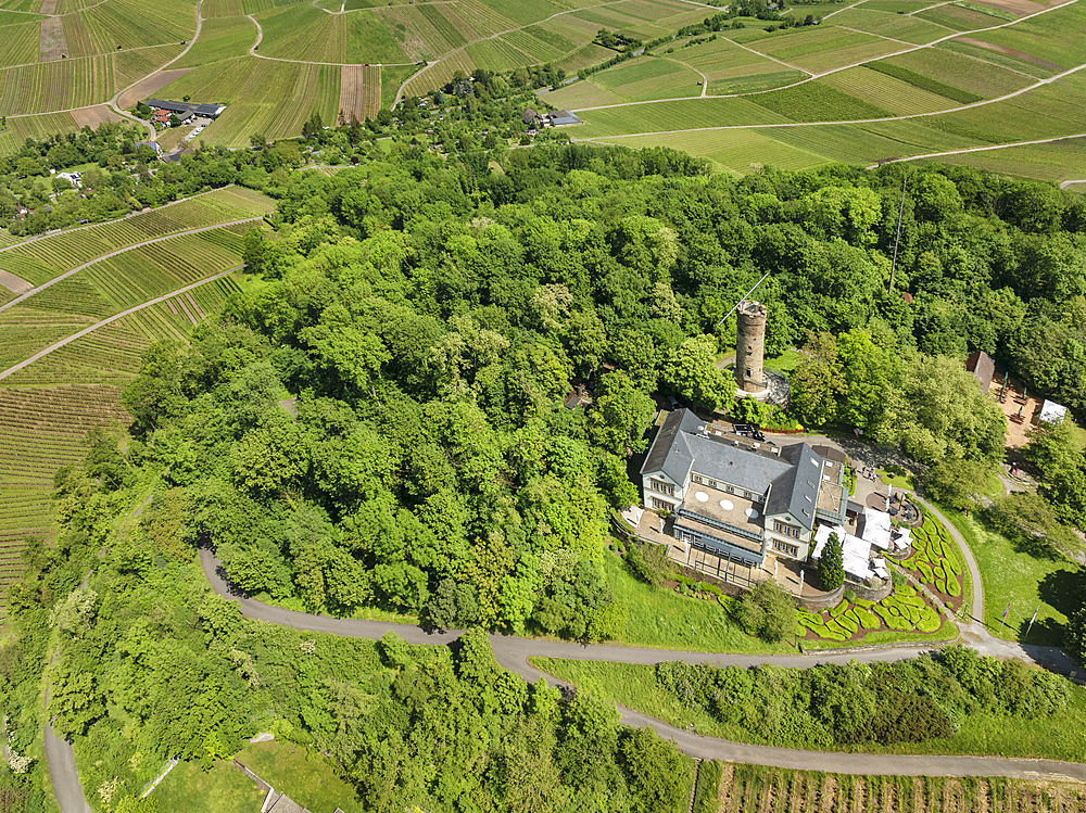 Höhenrestaurant Wartberg mit Wartbergturm, Heilbronn, Baden-Württemberg, Deutschland