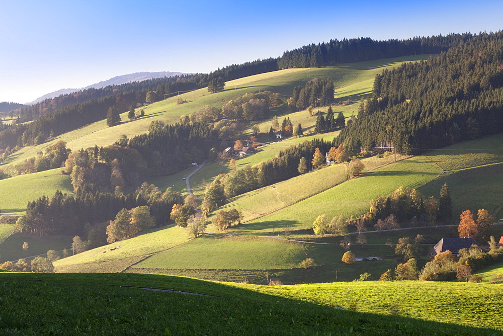 Glottertal Valley in autumn, Black Forest, Baden Wurttemberg, Germany, Europe