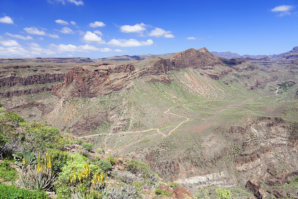 View from Mirador de Fataga to the valley Barranco de Fataga, Gran Canaria, Canary Islands, Spain, Europe