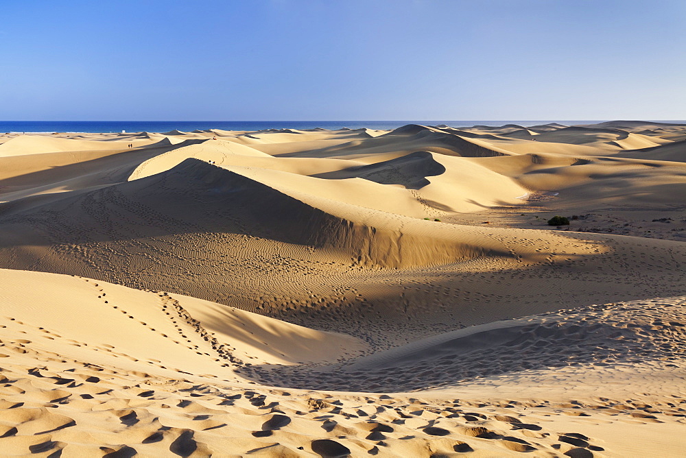 Sand dunes of Maspalomas, Maspalomas, Gran Canaria, Canary Islands, Spain, Atlantic, Europe