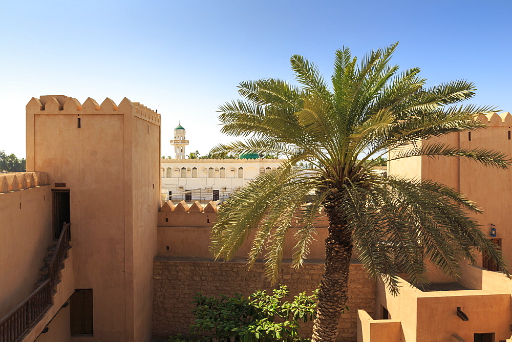 Ramparts, palm tree and view to mosque, Taqah (Taqa) Castle fort museum, near Salalah, Dhofar Region, Southern Oman, Middle East