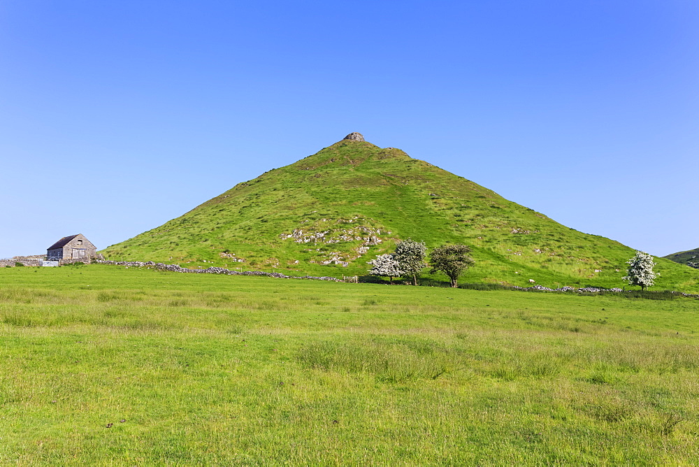 Thorpe Cloud, a conical hill with hawthorns in blossom and barn, Dovedale, Peak District, Derbyshire Staffordshire border, England, United Kingdom, Europe