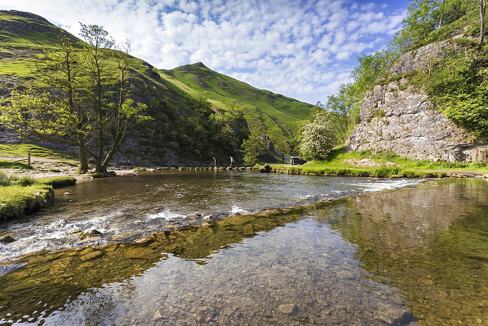 Dovedale reflections, hikers on stepping stones and Thorpe Cloud, limestone gorge in spring, Peak District, Derbyshire, England, United Kingdom, Europe