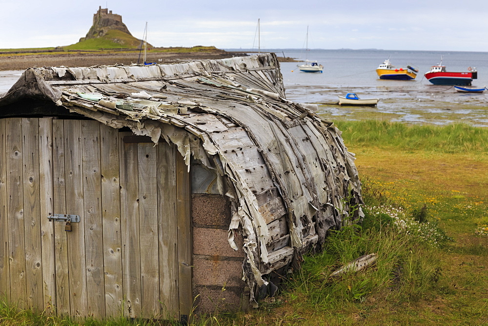 Upturned weathered boat hut with Lindisfarne Castle and fishing boats at low tide, Holy Island, Northumberland Coast, England, United Kingdom, Europe