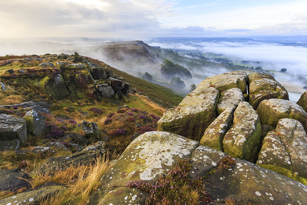 Early morning fog, Curbar Edge with view to Baslow Edge, Peak District National Park, late summer heather, Derbyshire, England, United Kingdom, Europe