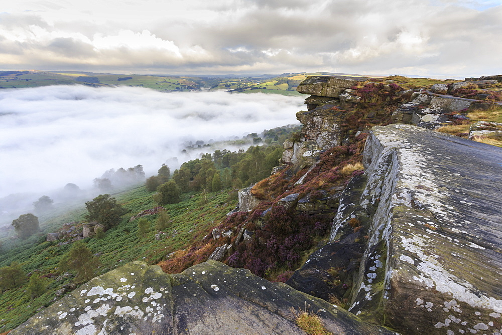 Early morning fog, partial temperature inversion, Curbar Edge, Peak District National Park, summer heather, Derbyshire, England, United Kingdom, Europe