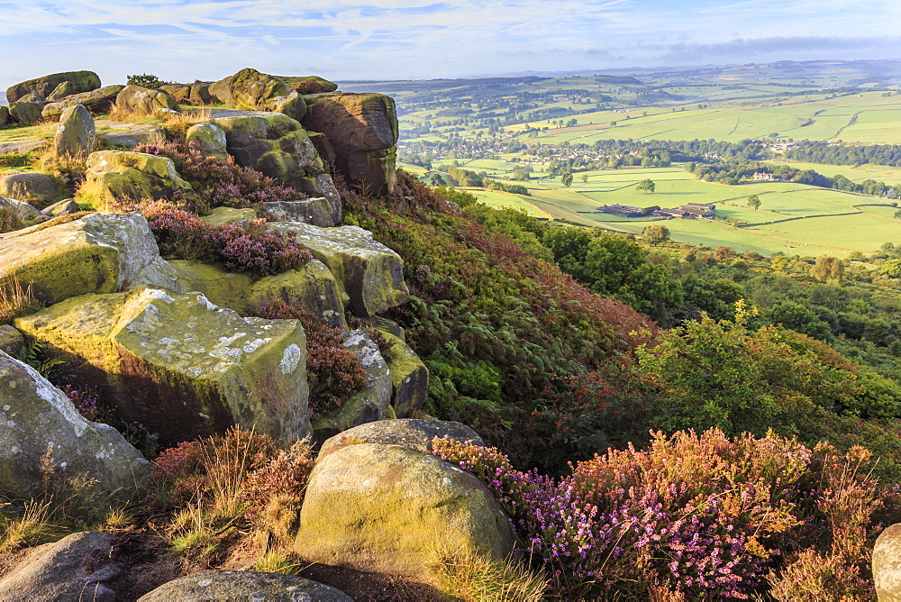 Baslow Edge, early autumn heather, view to Baslow village, Peak District National Park, Derbyshire, England, United Kingdom, Europe