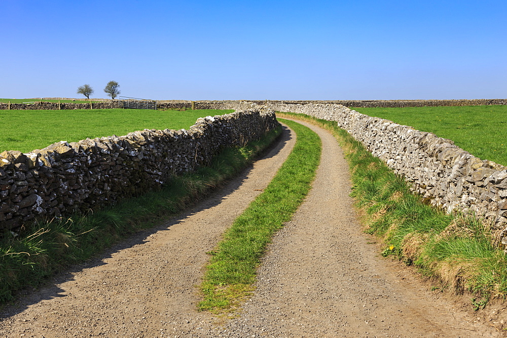 Track disappears into distance, between dry stone walls, a typical country scene, Peak District, Derbyshire, England, United Kingdom, Europe