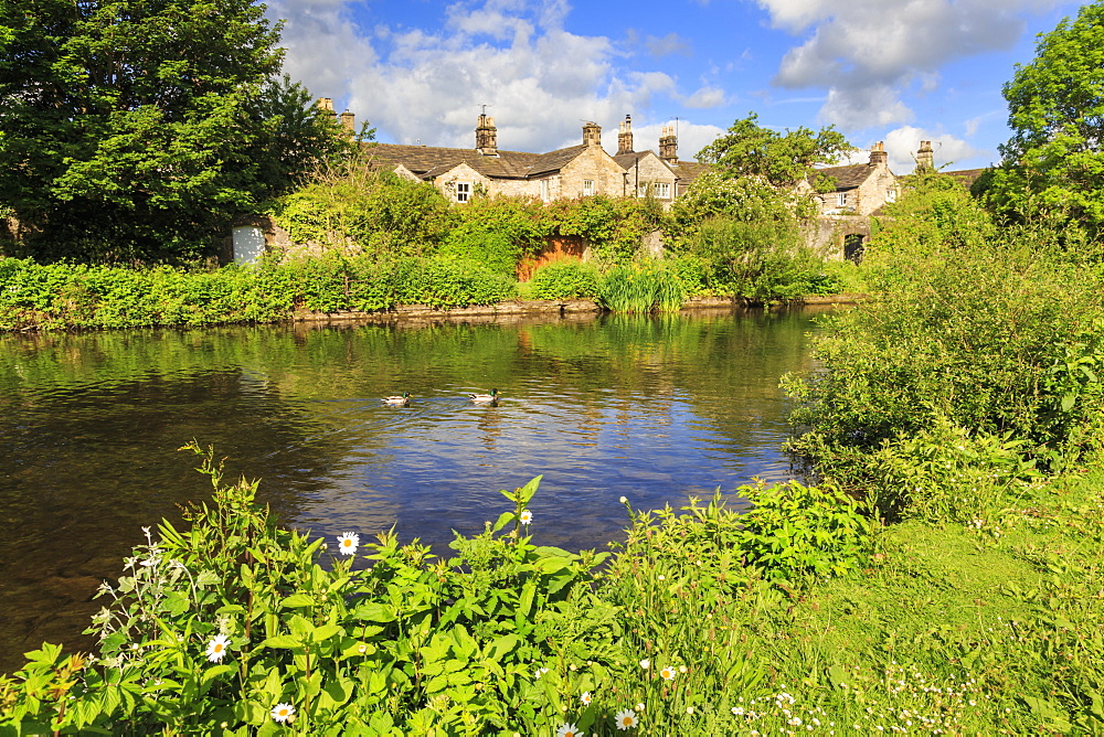 River Wye in spring, Bakewell, Historic Market Town, home of Bakewell Pudding, Peak District National Park, Derbyshire, England, United Kingdom, Europe