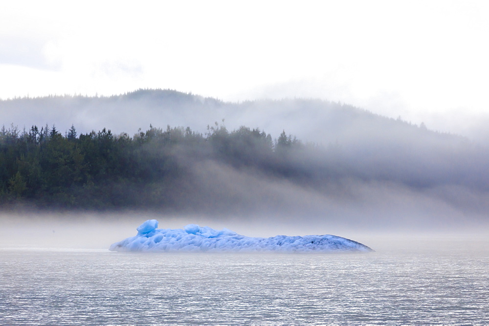 Bright blue iceberg from Mendenhall Glacier, surrounded by mist on Mendenhall Lake, Juneau, Alaska, United States of America, North America