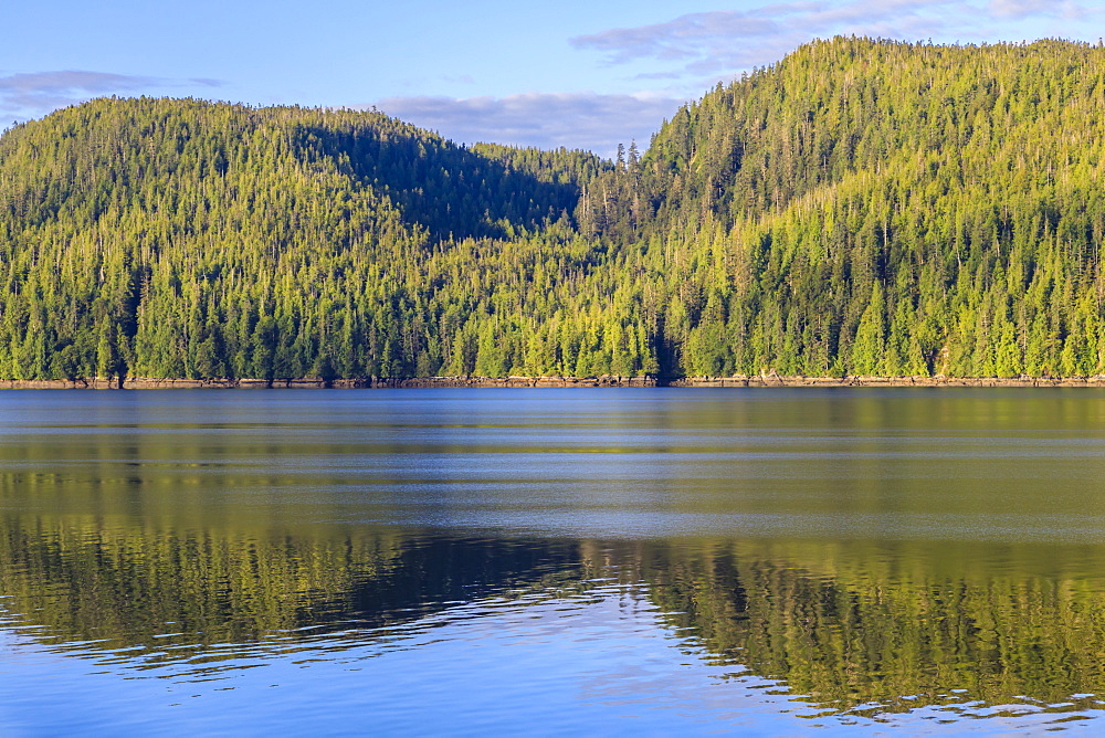 Early morning reflections in summer, Behm Canal, Misty Fjords National Monument, Tongass National Forest, Ketchikan, Alaska, United States of America, North America