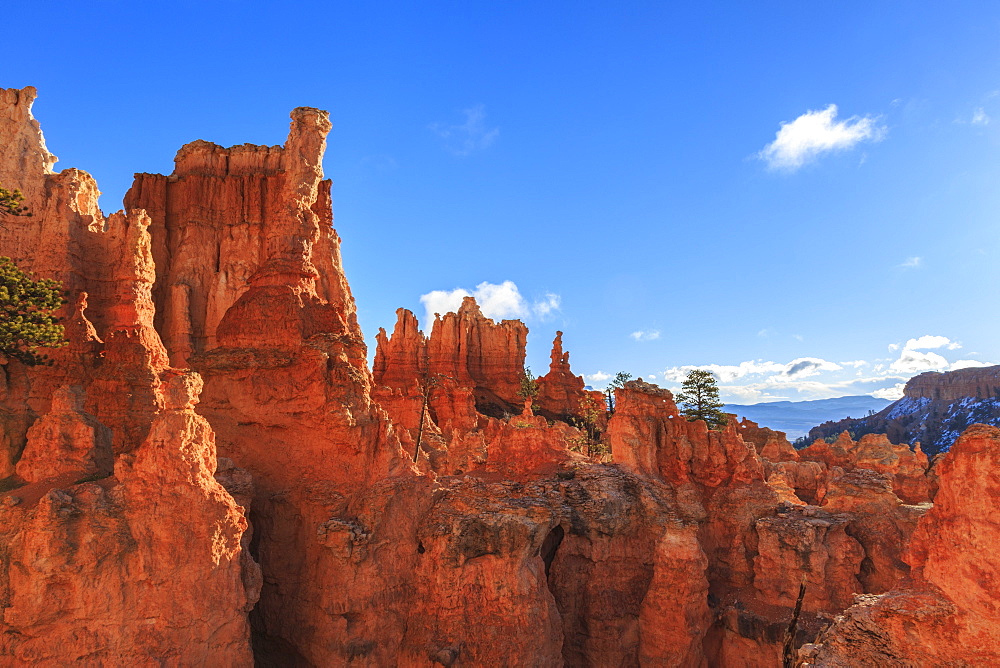 Hoodoos lit by early morning sun in winter, Peekaboo Loop Trail, Bryce Canyon National Park, Utah, United States of America, North America