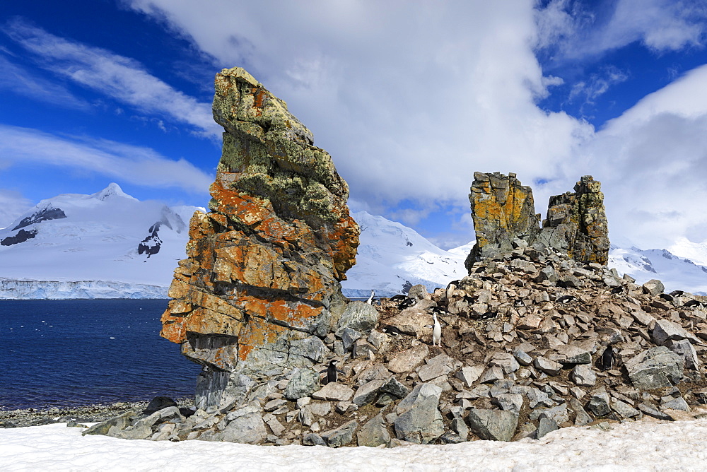 Chinstrap penguins calling (Pygoscelis antarcticus) at a craggy colony, Half Moon Island, South Shetland Islands, Antarctica, Polar Regions