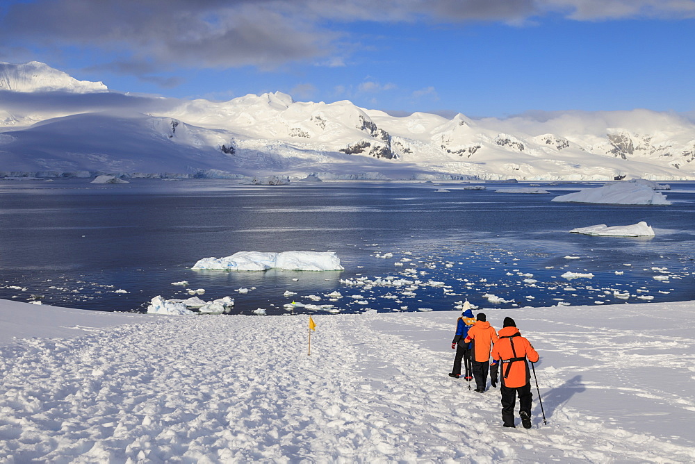 Expedition ship passengers trek above the sea, early morning, sunny day, Neko Harbour, Andvord Bay, Graham Land, Antarctica, Polar Regions