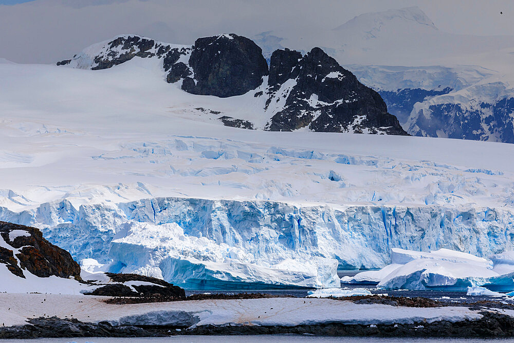 Penguin colonies, icebergs and glaciers, Cuverville Island, Errera Channel, Danco Coast, Antarctic Peninsula, Antarctica, Polar Regions