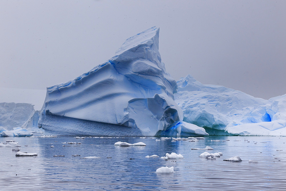 Blue icebergs in snowy weather, from sea level, Waterboat Point, Paradise Bay, Graham Land, Antarctic Peninsula, Antarctica, Polar Regions