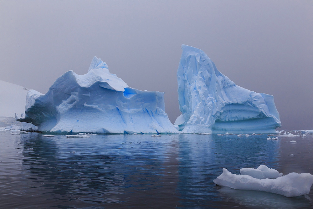 Blue icebergs in snowy weather, from sea level, Waterboat Point, Paradise Bay, Graham Land, Antarctic Peninsula, Antarctica, Polar Regions