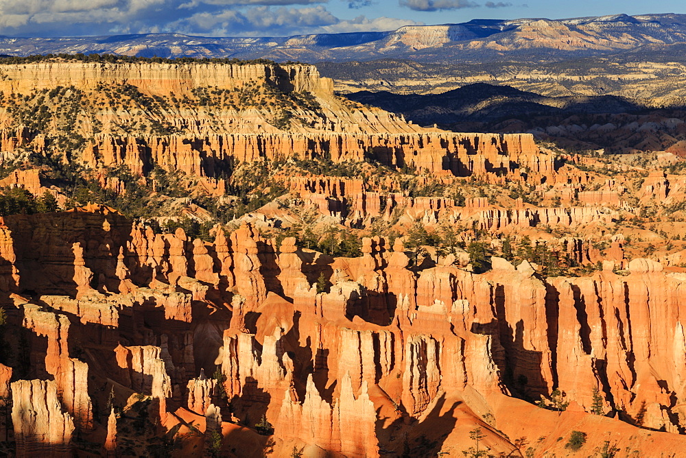 Late afternoon sun lights lines of hoodoos at Sunset Point, Bryce Canyon National Park, Utah, United States of America, North America