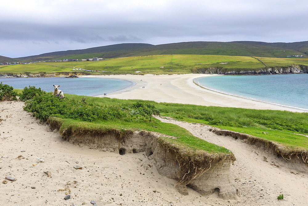 View to Bigton, St. Ninian's Isle, white beach tombolo, Mainland, Shetland Islands, Scotland, United Kingdom, Europe